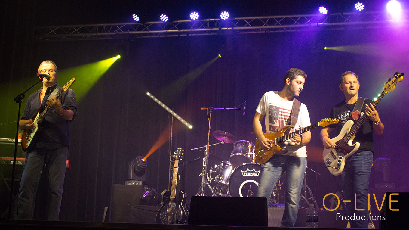 Dover Straits Tribute Dire Straits Lille Arras Concert Show Live Musique Rock Sultans